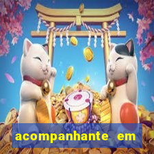 acompanhante em porto velho ro